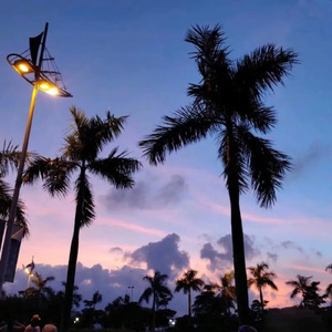 欧美激情性爱网ccoo
